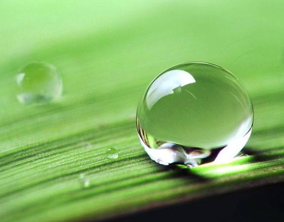 涂料潤濕劑<a href='http://m.helixhacks.com/product/product-0001,0011,0020.shtml' class='keys' title='點擊查看關于分散劑的相關信息' target='_blank'>分散劑</a>