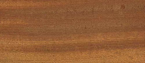 木器漆基材潤濕劑,木器漆潤濕劑,水性潤濕劑,底材潤濕劑,潤濕劑廠家,迪高潤濕劑,<a href='http://m.helixhacks.com/product/product-0001,0011,0018.shtml' class='keys' title='點擊查看關于潤濕劑的相關信息' target='_blank'>潤濕劑</a>批發