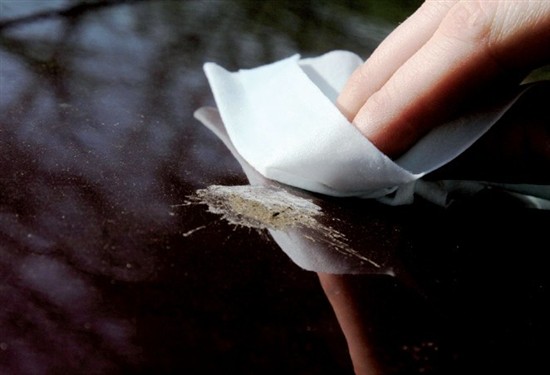 汽車改色漆、汽車護(hù)理