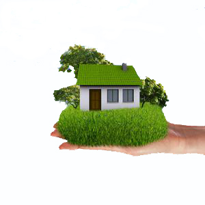 皮革護理、皮革保養