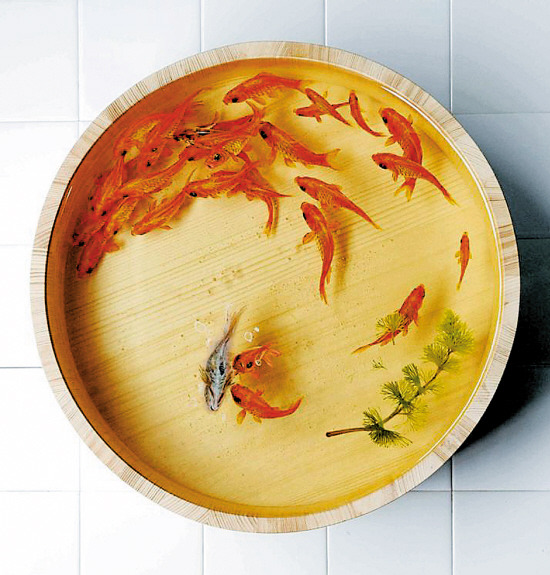 <a href='/product/product-0001,0013.shtml' class='keys' title='點擊查看關于水性聚氨酯的相關信息' target='_blank'>水性聚氨酯</a>、油性聚氨酯